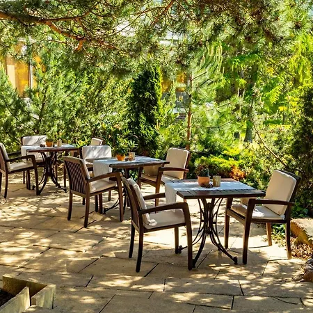 Hotel Cliff Rügen 4*