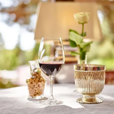 Cliff Ruegen Отель Зеллин