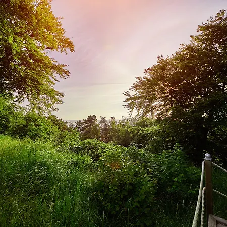 Cliff Ruegen Зеллин